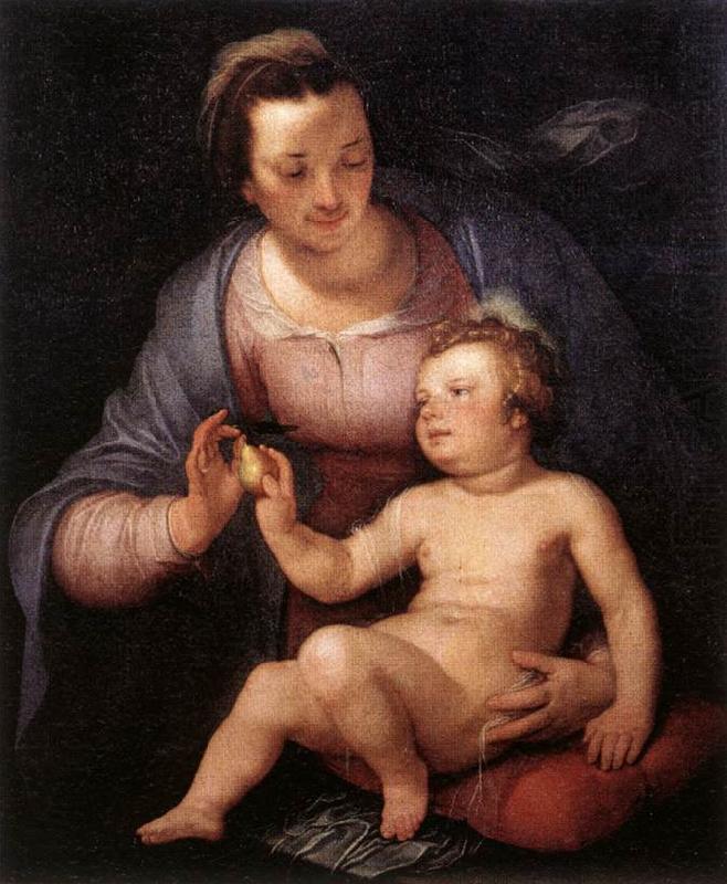 Madonna and Child  vinxg, CORNELIS VAN HAARLEM